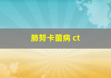 肺努卡菌病 ct